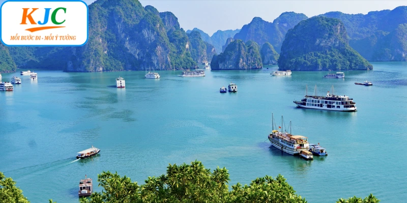 Một bước đi chiến lược hướng tới hệ sinh thái giải trí toàn diện